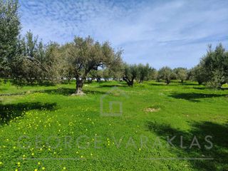 Οικόπεδο 6.314 τ.μ. για πώληση