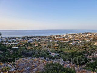 Οικόπεδο 13.784,43 τ.μ. για πώληση