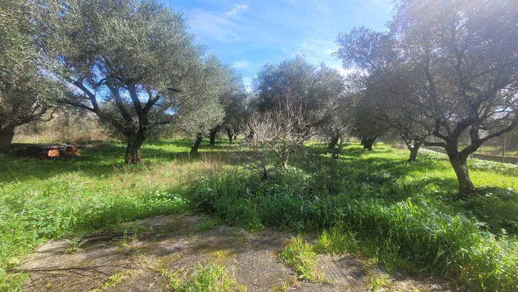 Οικόπεδο 2.496 τ.μ. πρός πώληση, Ν. Κέρκυρας, Κέρκυρα