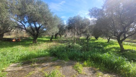 Οικόπεδο 2.496 τ.μ. πρός πώληση