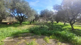 Οικόπεδο 2.496 τ.μ. για πώληση