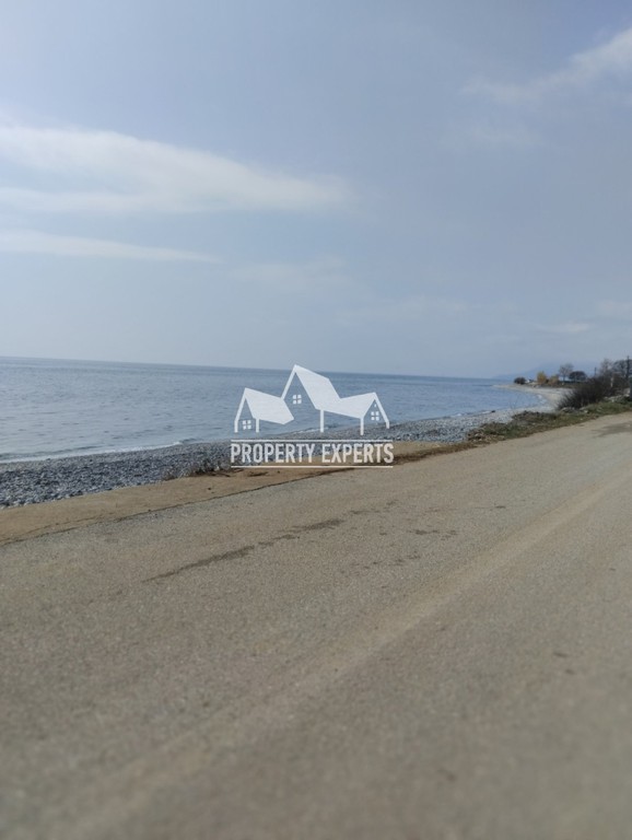 Αγροτεμάχια 4.650 τ.μ. προς πώληση, Παραλία Δικελλών