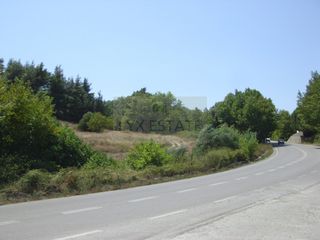 Οικόπεδο 8.955 τ.μ. για πώληση, Εύβοια, Κηρέα-thumb-1