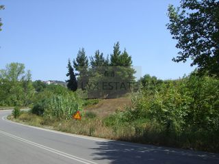 Οικόπεδο 8.955 τ.μ. για πώληση, Εύβοια, Κηρέα-thumb-2