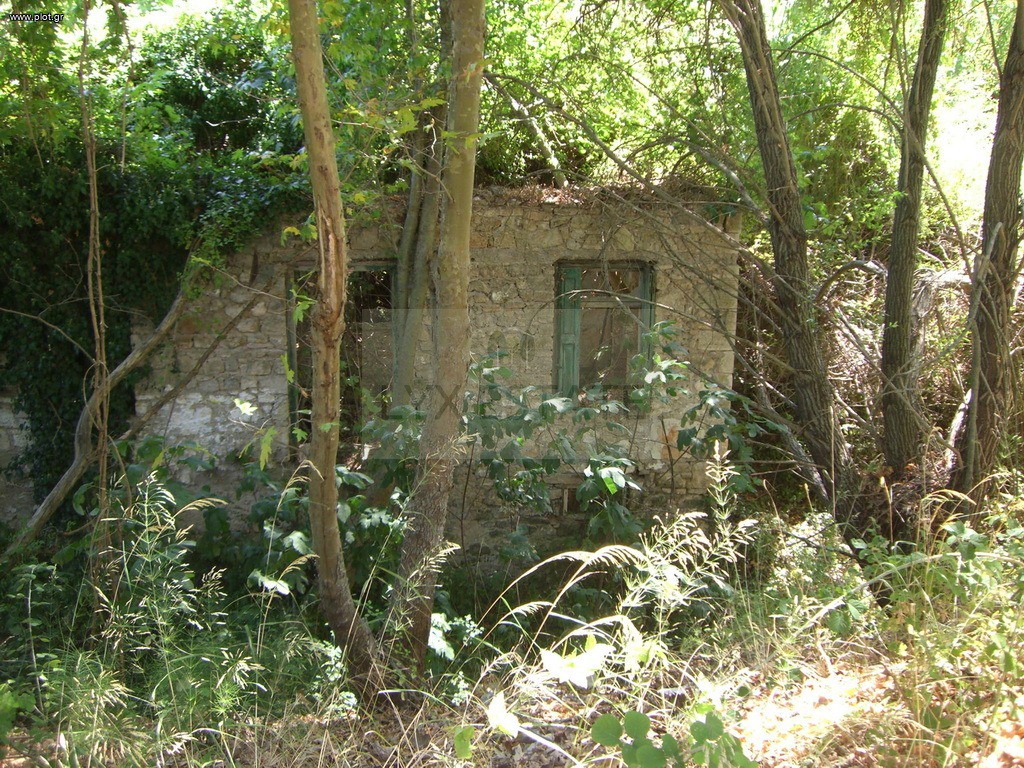 Οικόπεδο 8.955 τ.μ. πρός πώληση, Εύβοια, Κηρέα