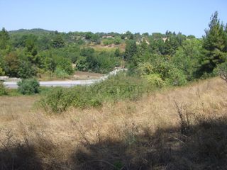 Οικόπεδο 8.955 τ.μ. για πώληση, Εύβοια, Κηρέα-thumb-5