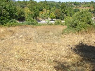 Οικόπεδο 8.955 τ.μ. για πώληση, Εύβοια, Κηρέα-thumb-6