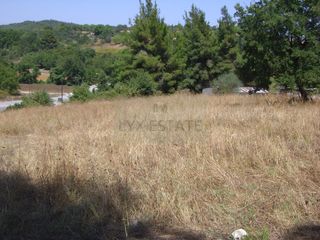 Οικόπεδο 8.955 τ.μ. για πώληση, Εύβοια, Κηρέα-thumb-8