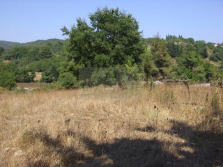 Οικόπεδο 8.955 τ.μ. για πώληση, Εύβοια, Κηρέα-thumb-9