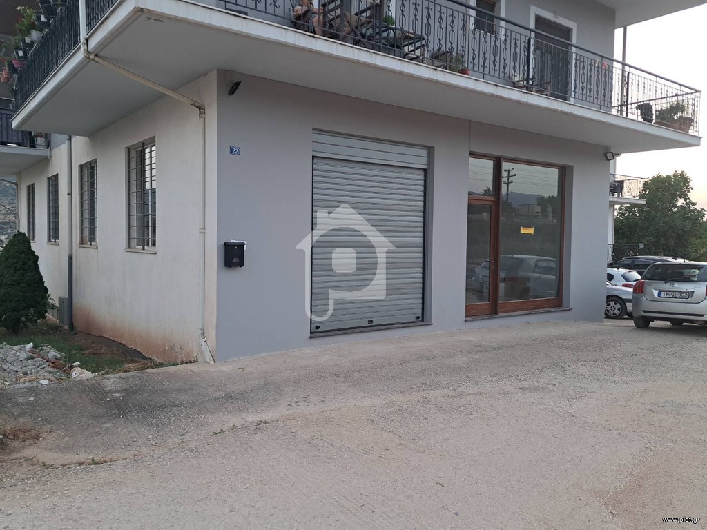 Κατάστημα 162 τ.μ. προς ενοικίαση, Καρδαμίτσια