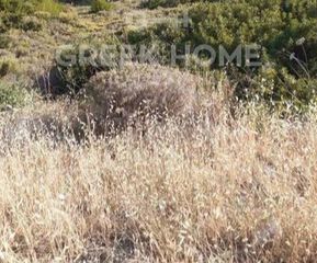 Οικόπεδο 1.374 τ.μ. για πώληση