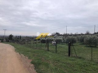 Parcel 6.000 sqm for sale