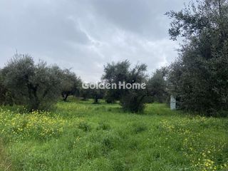 Αγροτεμάχια 4.000 τ.μ. για πώληση
