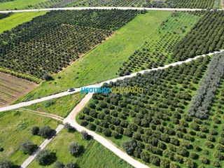 Αγροτεμάχια 12.700 τ.μ. για πώληση, Αργολίδα, Μυκήνες-thumb-6