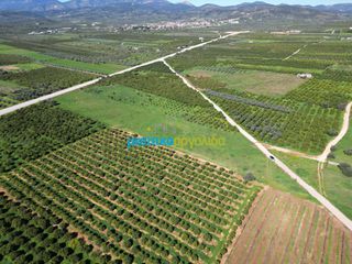 Αγροτεμάχια 12.700 τ.μ. για πώληση, Αργολίδα, Μυκήνες-thumb-9