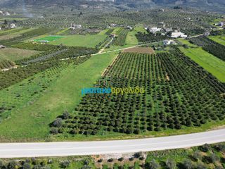 Αγροτεμάχια 12.700 τ.μ. για πώληση, Αργολίδα, Μυκήνες-thumb-13