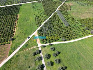 Αγροτεμάχια 12.700 τ.μ. για πώληση, Αργολίδα, Μυκήνες-thumb-7