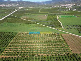 Αγροτεμάχια 12.700 τ.μ. για πώληση, Αργολίδα, Μυκήνες-thumb-10