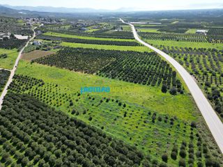 Αγροτεμάχια 12.700 τ.μ. για πώληση, Αργολίδα, Μυκήνες-thumb-16