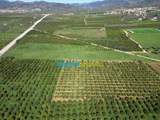 Αγροτεμάχια 12.700 τ.μ. για πώληση, Αργολίδα, Μυκήνες-thumb-11