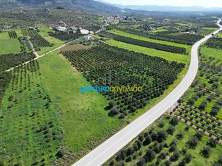 Αγροτεμάχια 12.700 τ.μ. για πώληση, Αργολίδα, Μυκήνες-thumb-14