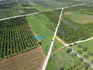 Αγροτεμάχια 12.700 τ.μ. για πώληση, Αργολίδα, Μυκήνες-thumb-8