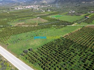 Αγροτεμάχια 12.700 τ.μ. για πώληση, Αργολίδα, Μυκήνες-thumb-12