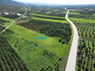 Αγροτεμάχια 12.700 τ.μ. για πώληση, Αργολίδα, Μυκήνες-thumb-15