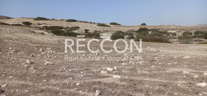 Αγροτεμάχια 52.162 τ.μ. προς πώληση, Ζεφυρία
