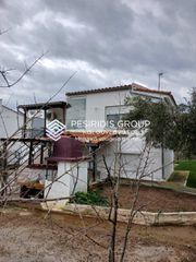 Μονοκατοικία 100 τ.μ. για πώληση