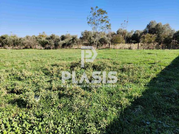Parcel 1.566 sqm for sale, Athens - East, Paiania