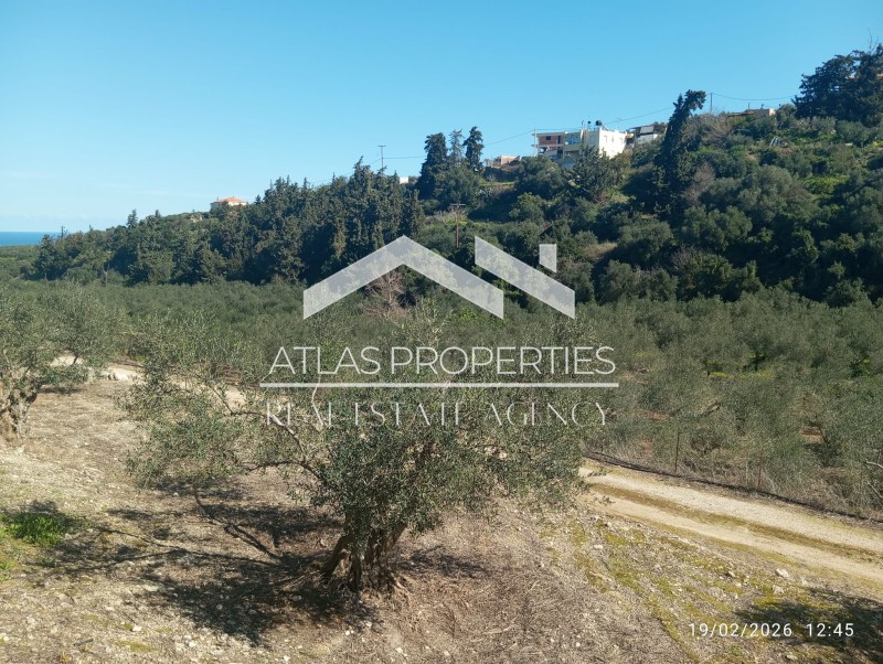 Οικόπεδο 6.931,61 τ.μ. προς πώληση, Τσιβαράς
