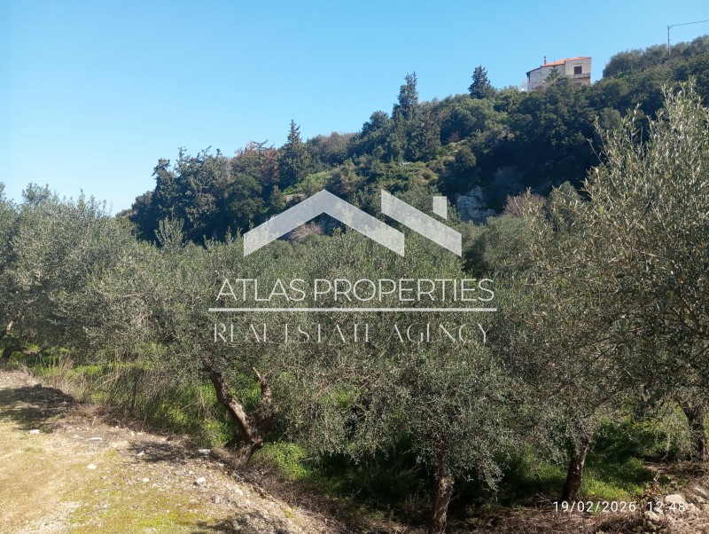 Οικόπεδο 6.931,61 τ.μ. προς πώληση, Τσιβαράς