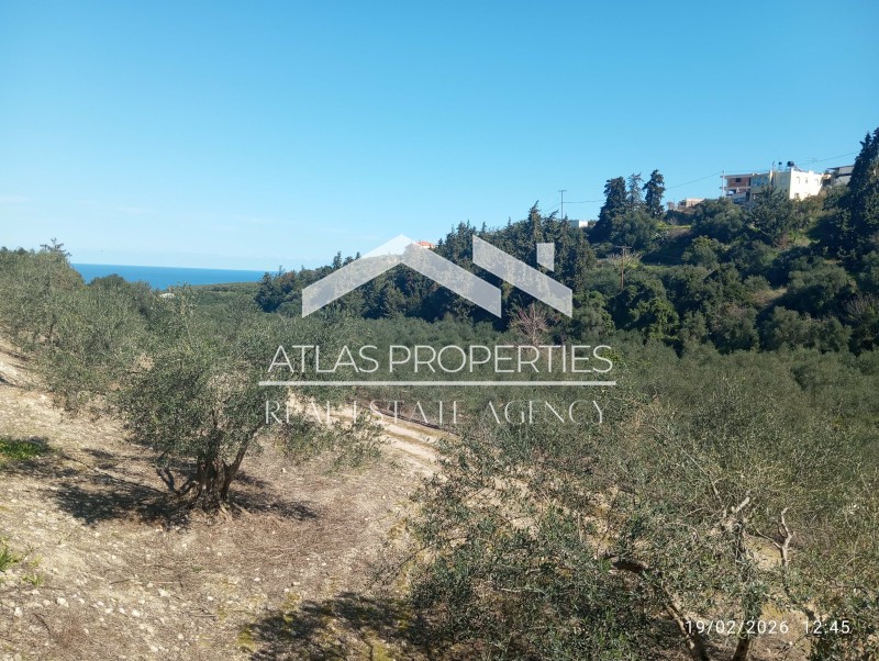 Οικόπεδο 6.931,61 τ.μ. προς πώληση, Τσιβαράς