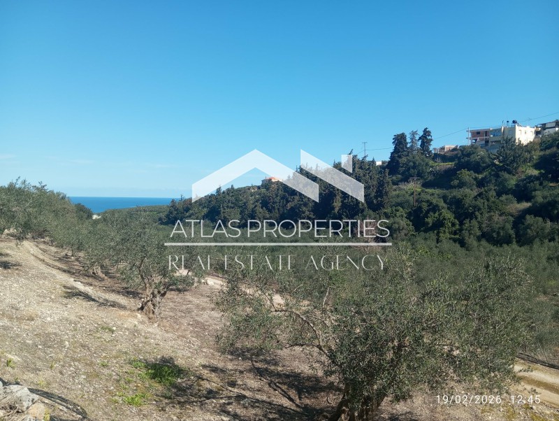Οικόπεδο 6.931,61 τ.μ. προς πώληση, Τσιβαράς