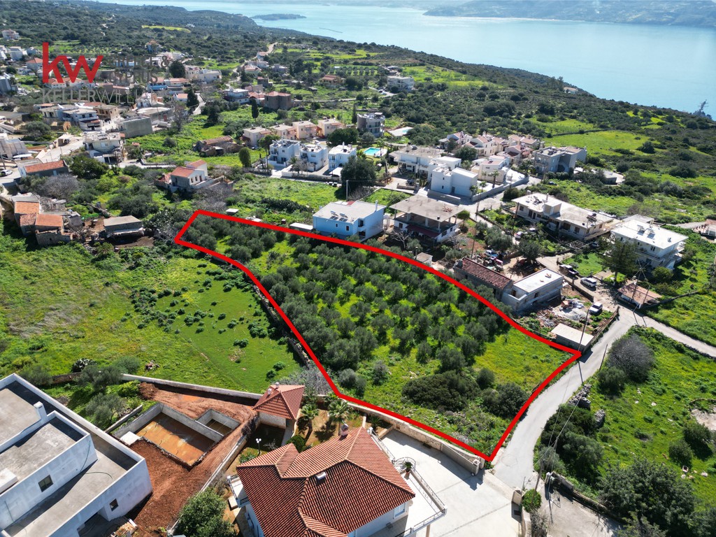 Οικόπεδο 3.221,37 τ.μ. προς πώληση, Αρώνι