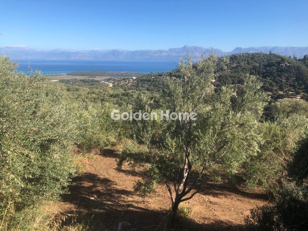 Οικόπεδο 4.062 τ.μ. προς πώληση, Θινάλιο