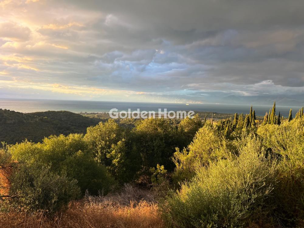 Οικόπεδο 4.062 τ.μ. προς πώληση, Θινάλιο