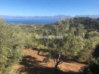 Οικόπεδο 4.062 τ.μ. προς πώληση, Θινάλιο-thumb-7