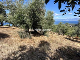 Οικόπεδο 4.062 τ.μ. προς πώληση, Θινάλιο-thumb-2