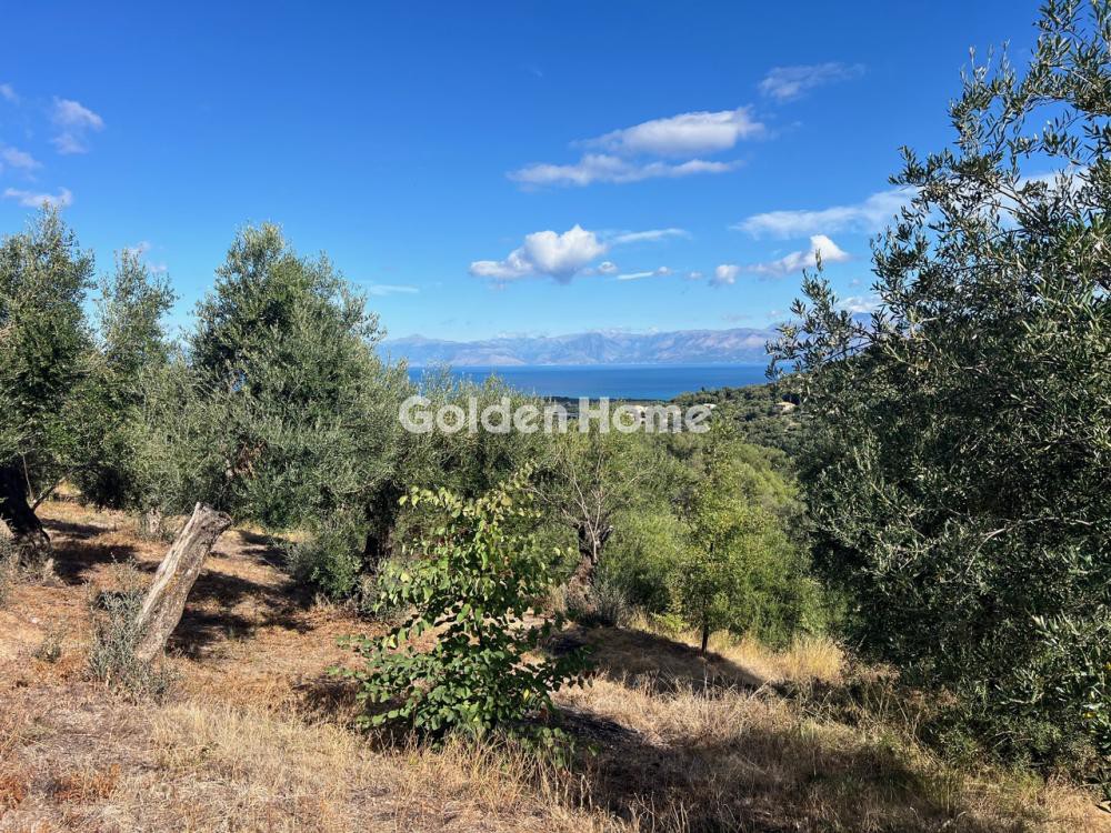 Οικόπεδο 4.062 τ.μ. προς πώληση, Θινάλιο