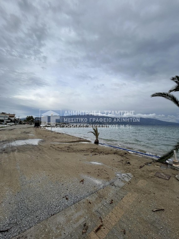 Κατάστημα 107 τ.μ. προς ενοικίαση, Νέες Παγασές