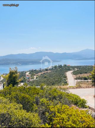 Land plot 1.097 sqm for sale, Phthiotis, Malesina