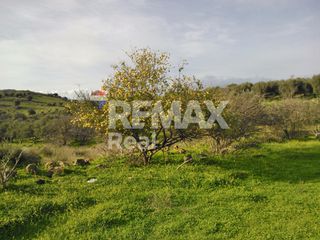 Οικόπεδο 32.000 τ.μ. πρός πώληση, Ν. Ηρακλείου, Μοίρες-thumb-8