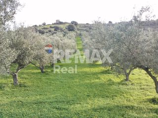 Οικόπεδο 32.000 τ.μ. πρός πώληση, Ν. Ηρακλείου, Μοίρες-thumb-6