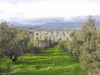 Οικόπεδο 32.000 τ.μ. πρός πώληση, Ν. Ηρακλείου, Μοίρες-thumb-7