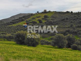 Οικόπεδο 32.000 τ.μ. πρός πώληση, Ν. Ηρακλείου, Μοίρες-thumb-4