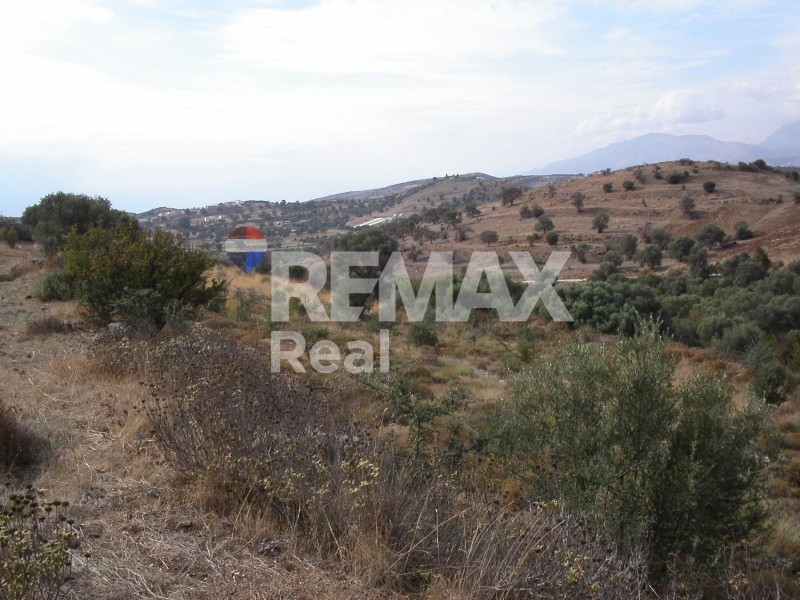 Οικόπεδο 32.000 τ.μ. πρός πώληση, Ν. Ηρακλείου, Μοίρες