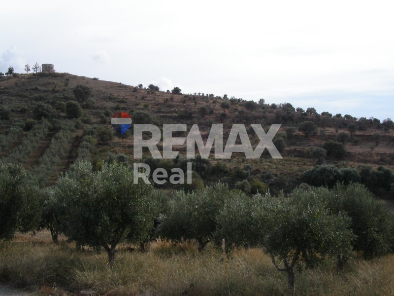 Οικόπεδο 32.000 τ.μ. πρός πώληση, Ν. Ηρακλείου, Μοίρες