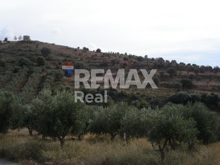 Οικόπεδο 32.000 τ.μ. πρός πώληση, Ν. Ηρακλείου, Μοίρες-thumb-3